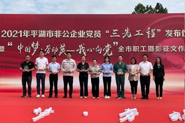 浙江鴻禧能源股份有限公司210電池技術攻關項目組榮獲平湖市非公企業“黨員先鋒團隊”榮譽稱號